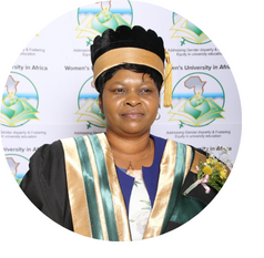 Professor Sunungurai Dominica Chingarande
