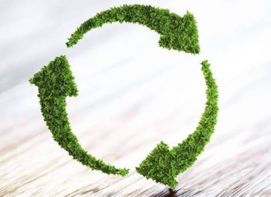 sustainability